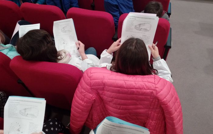 Alla scoperta del Teatro Romano di Fermo