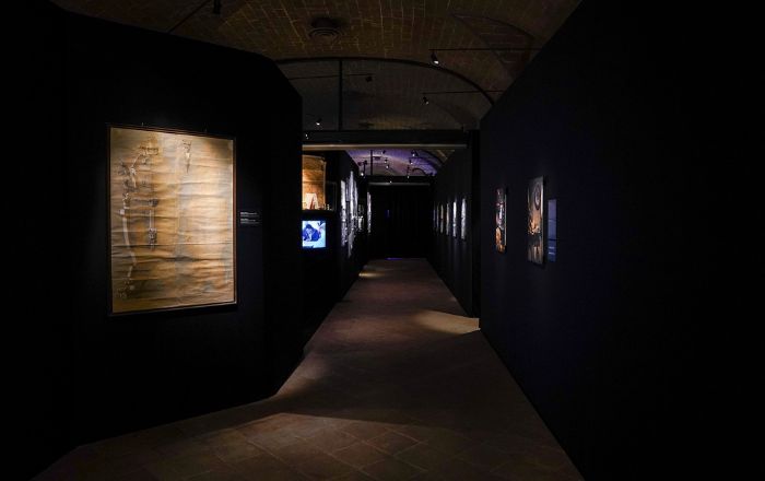 Visita guidata con artista-esposizione “I Tesori dell'alabastro"