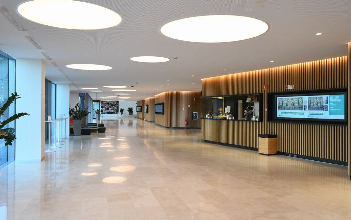 BNL: creare/curare una collezione. Turi Sottile. Antologia