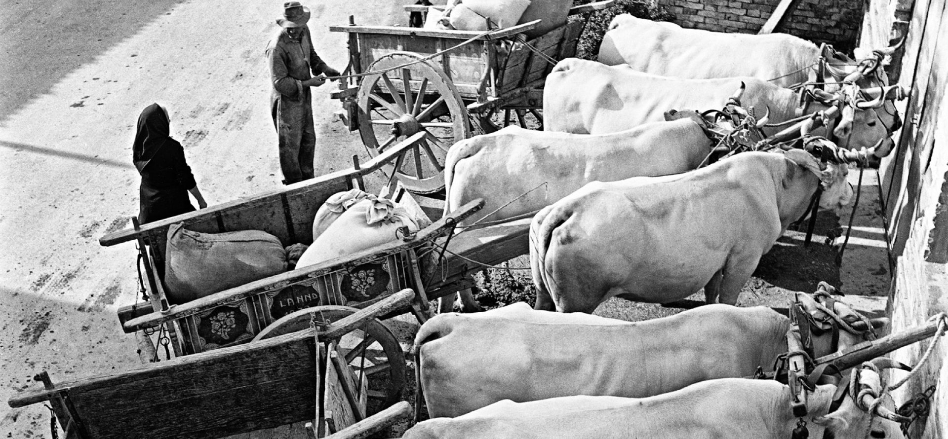 "Come eravamo: immagini di un mondo che non c'è più"