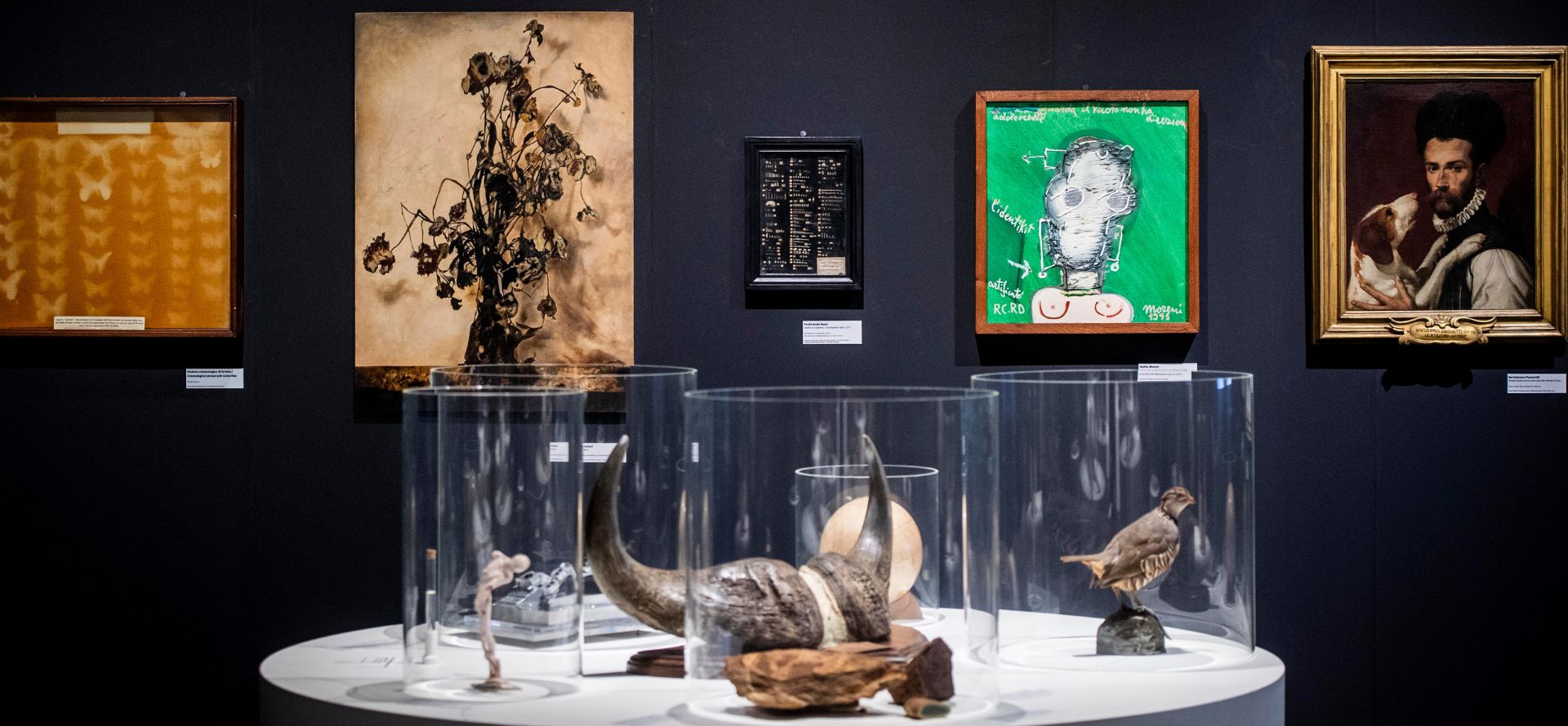 L’incanto della conoscenza di un altro Ulisse