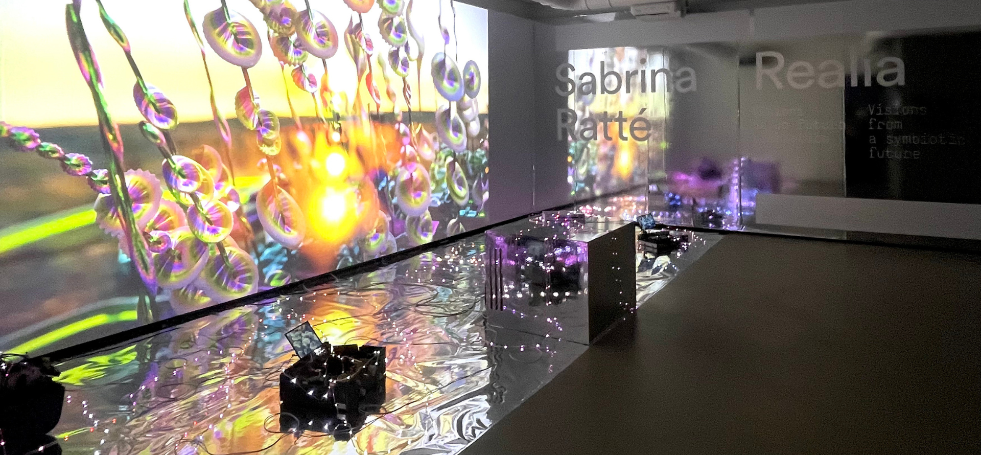 Una meravigliosa apocalisse