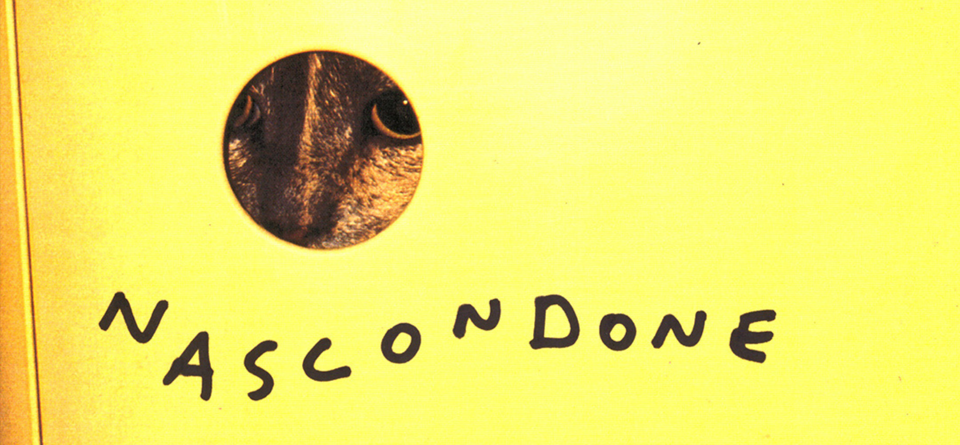 NASCONDONE | NICO VASCELLARI