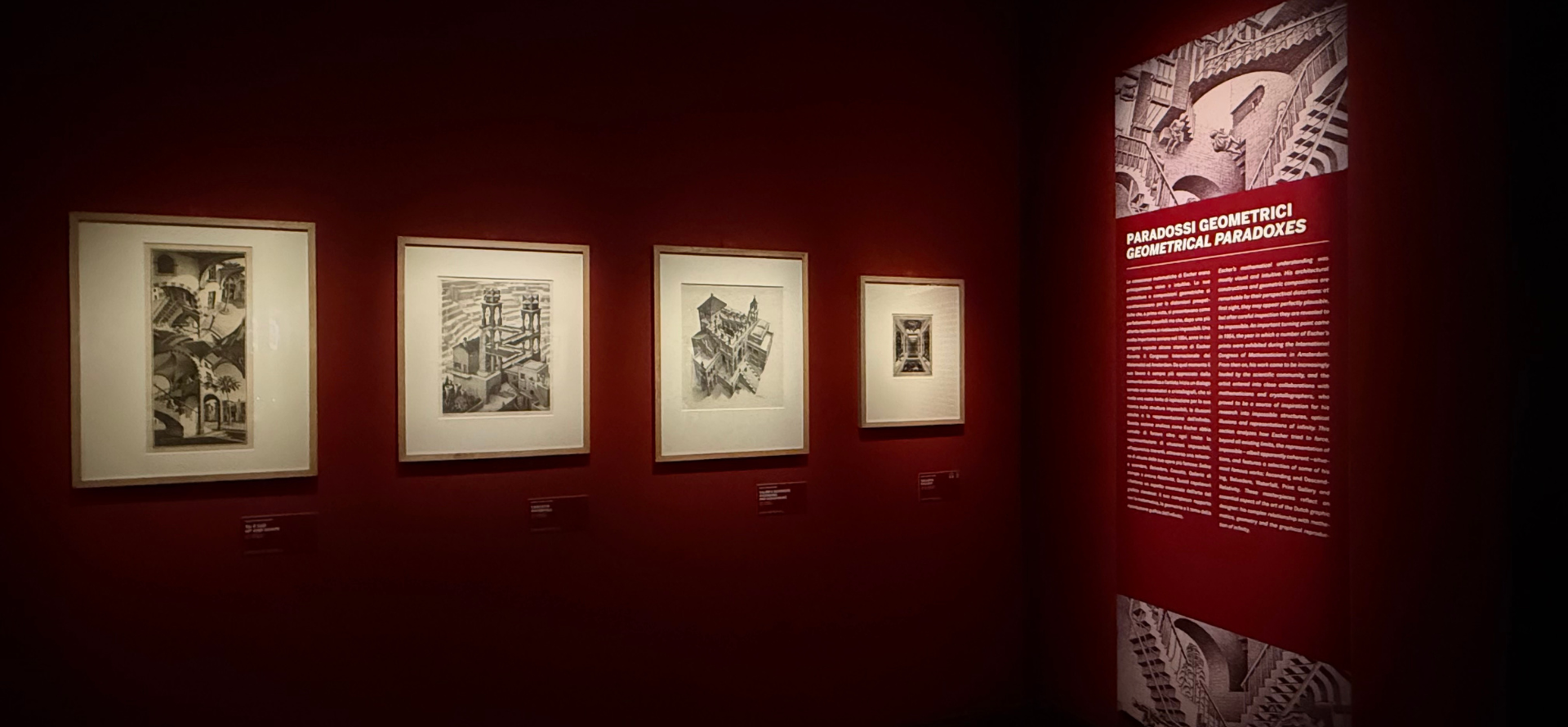 I paradossi della mente e della visione di Escher