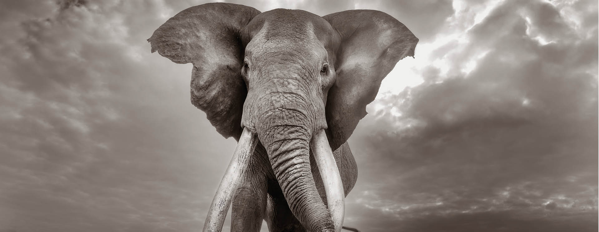 "Cristina Mittermeier. La grande saggezza"